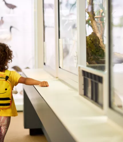 Child at Museum