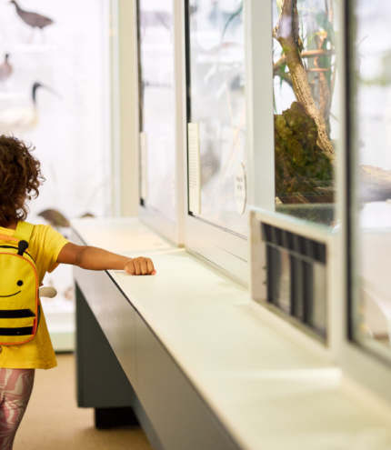 Child walking