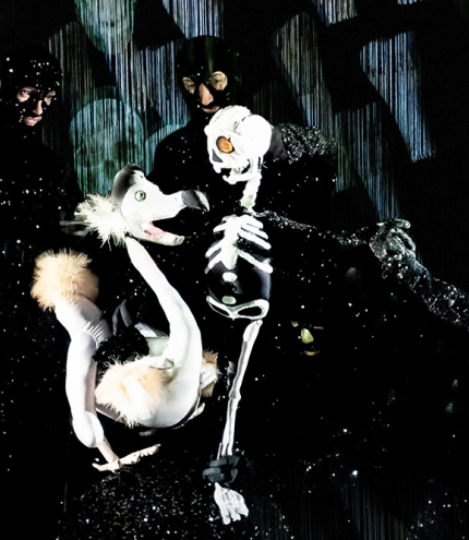 Dead as a Dodo - Brisbane Festival
