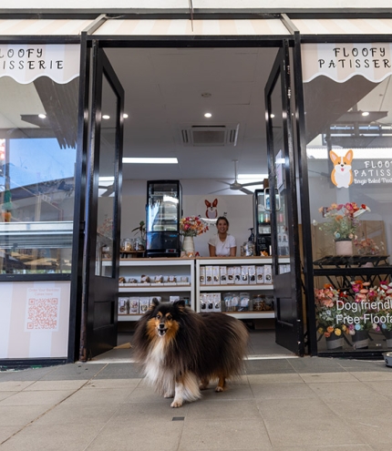 Dog at entrance to Floofy Patisserie 