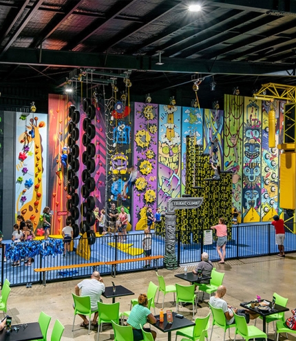 The Jungle Adventure Play Tingalpa