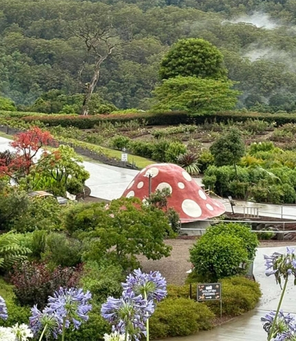 Aerial view of Maleny Fairy Garden