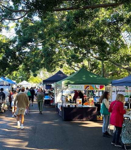 Stalls lined up at Northey Street Organic Market, Windsor