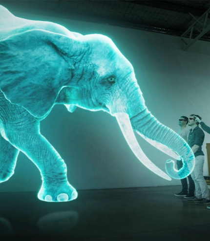 Birthday Parties at Hologram Zoo