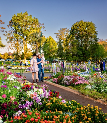 Walking in gardens 