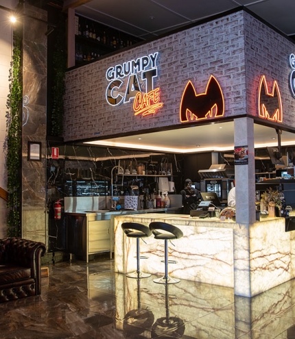 Interior of Grumpy Cat Cafe Bowen Hills