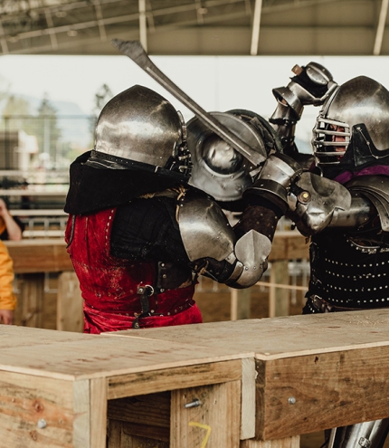 Knights at Southern Realm Festival