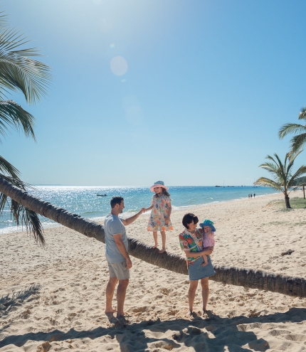Family on a palm tree at Tangalooma Island