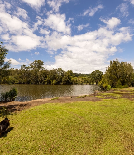 Tallebudgera Off Leash Agility Dog Island