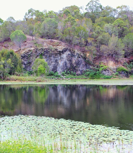 Old Quarry Daisy Hill