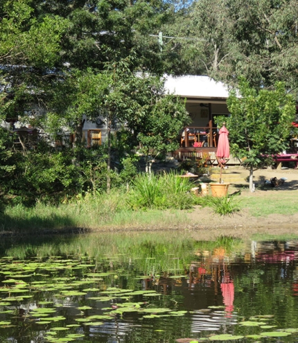 Pond & garden at The Place 2 B Cafe Delaneys Creek