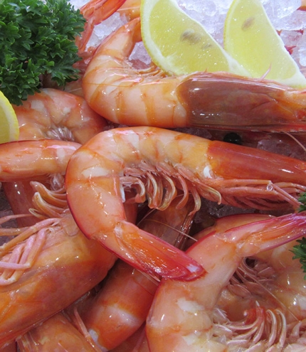 Prawns, parsley and lemon wedges on a bed of ice