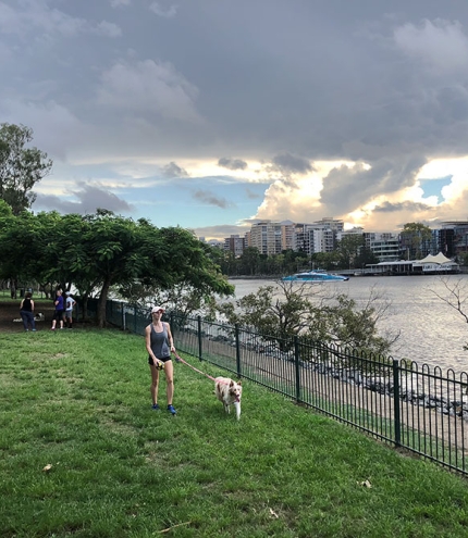 Person walking dog by the river at the West End Dog Park, Brisbane