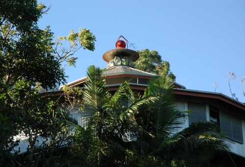 Carpenter Hall House rooftop through trees in Wilston