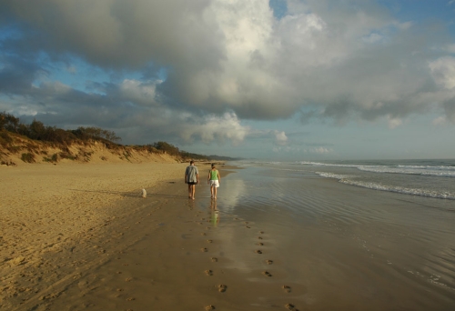 Coupole walking dog on Coolum Off Leash Dog Beach