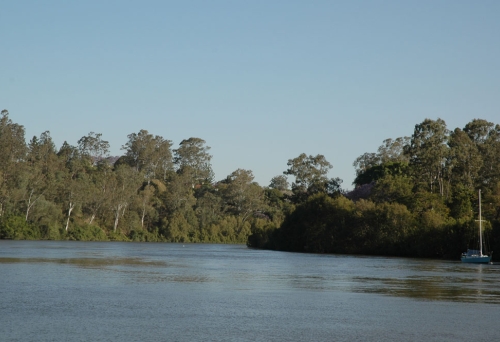 View of Brisbane River and bush from Horace Window Reserve in Corinda