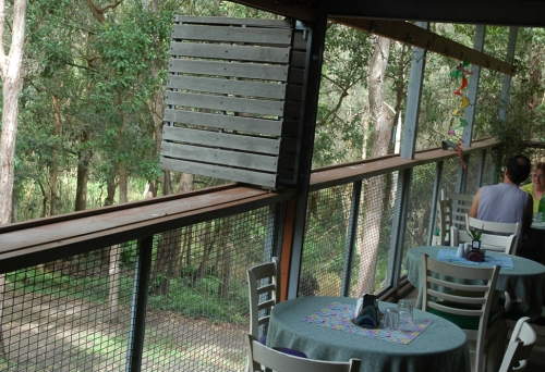 Table on deck overlooking bush