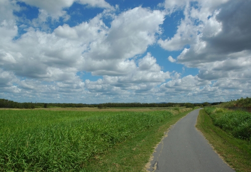 Kedron Brook Bikeway surrounded by fields and sky