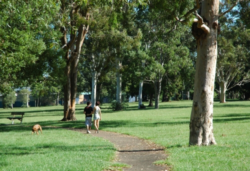 couple walking down path surrounded by gum trees and dogs inside Kroll Gardens Dog Off Leash Park Clontarf