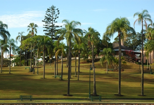 Newstead Park a dawn with palm trees and lawns surrounding Newstead House on the hill.