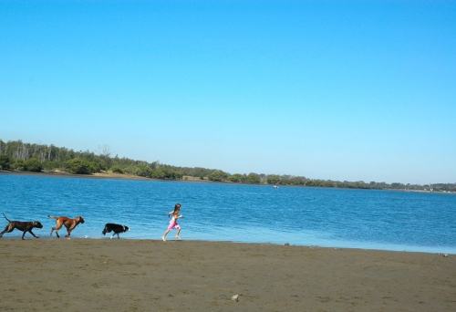 Girl being chased by dogs on Nudgee Offleash Beach Dog Park next to creek