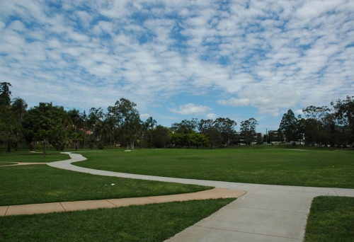 Bike track inside Perrin Park Toowong