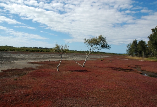 Red look landscape inside Point Halloran Reserve Walk Victoria Point