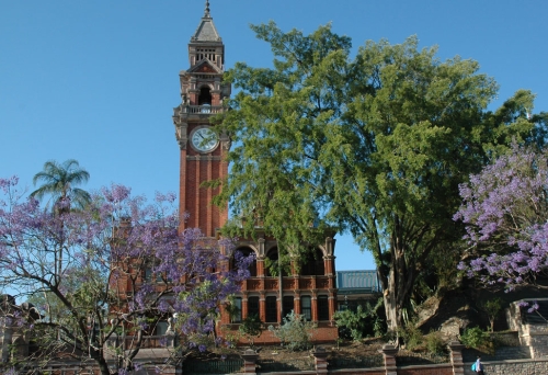 South Brisbane Town Hall and trees seen from Vulture Street