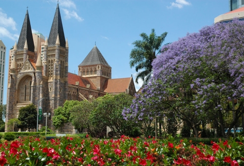 St John’s Cathedral with garden in bloom and jacaranda tree