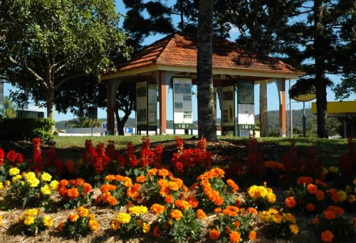 Bed of flowers in Stewart Place Memorial Reserve Ashgrove
