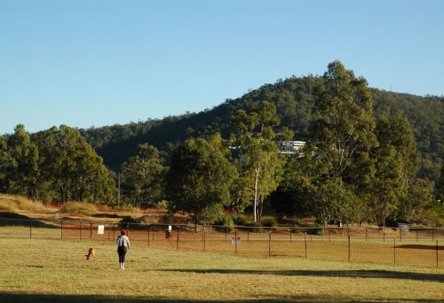 Dogs and owners in Sunset Dog Park Ashgrove