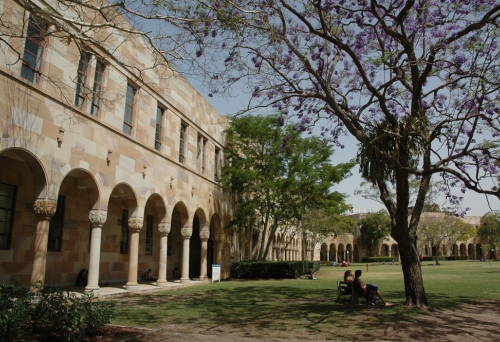 Students sitting under a tree in the University of Queensland's forecourt in St Lucia