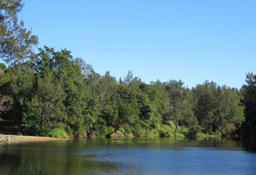 Bunya Riverside Reserve
