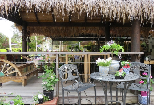 Outside Cafe Lagarto Samford with tables & chairs next to thatched hut