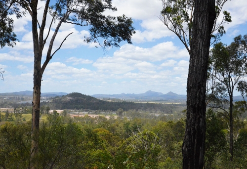 Castle Hill Blackstone Reserve Ipswich