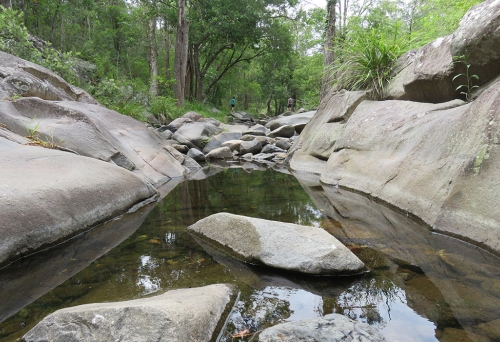 Cedar Creek Pool