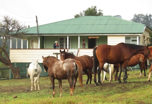 Cedar Glen Farmstay Darlington