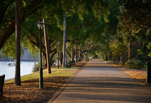 Top Things to do and See in Brisbane