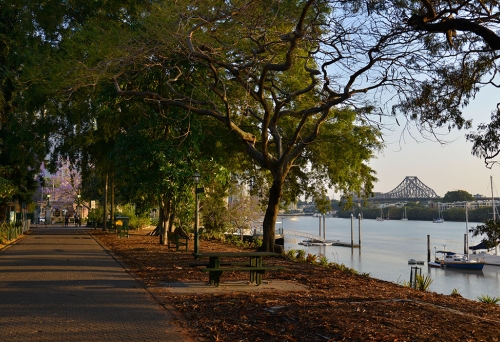 Brisbane Botanic Gardens 