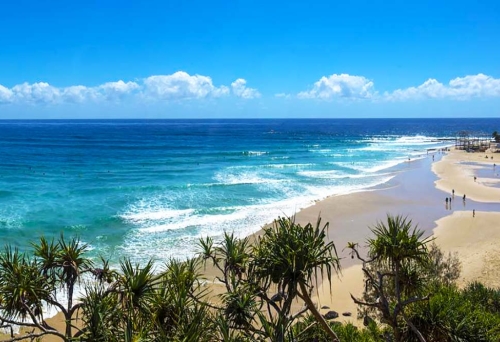 Snapper Rocks, Coolangatta