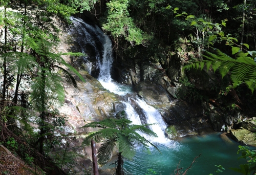 Cougal Cascades Springbrook National Park Currumbin Valley