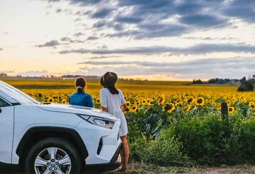 Scenic Country Drives