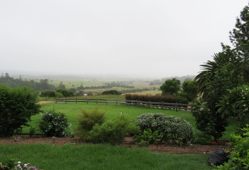 Crane Wines Boutique Winery and B&amp;B Kingaroy