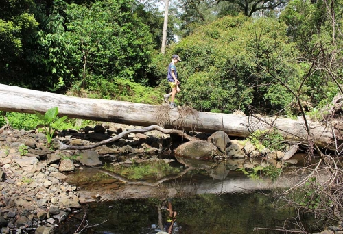 Goomburra Valley Hikes
