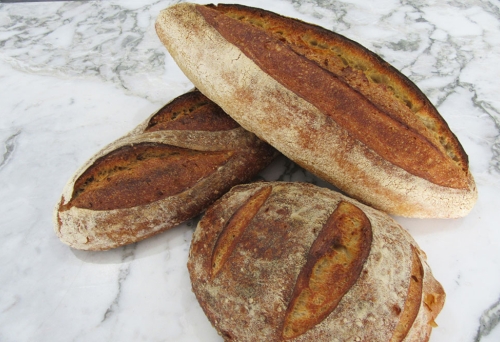 Danny's Bread Teneriffe