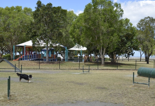 Dog running in off leash dog park in front of playground in Decker Park Brighton