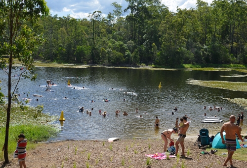 People swimming at Enoggera Dam