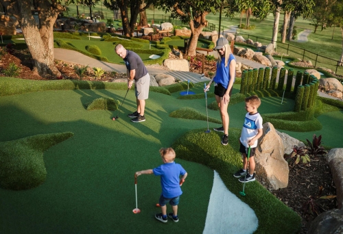 Garden Golf Putt Putt