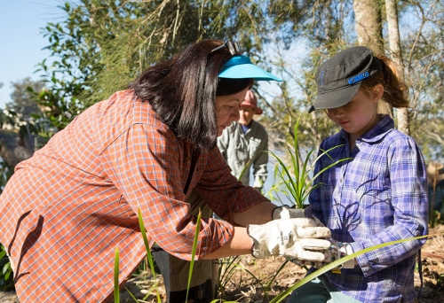 Peaks To Points Festival 2026