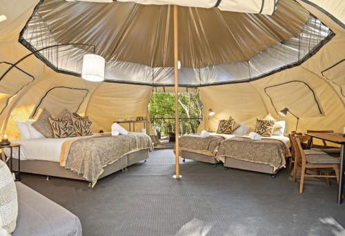 Woodlands Family Tent Tamborine Mountain Glades